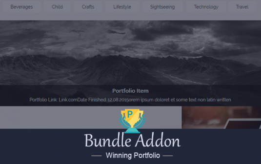 Winning Portfolio Bundle Addon